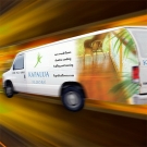 Vehicle graphics