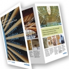 Trifold Brochure